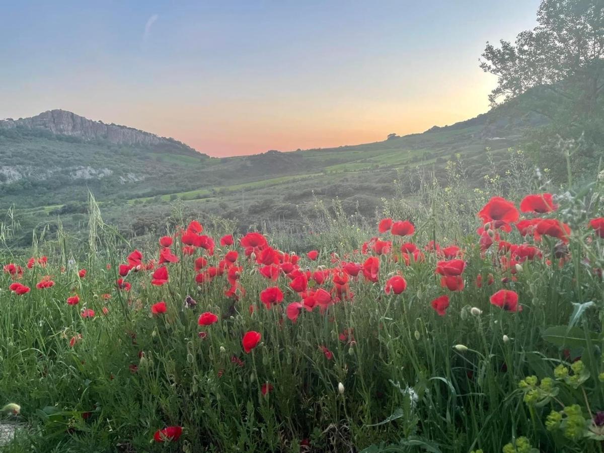 קולמנאר Cortijo Rancho Verde מראה חיצוני תמונה