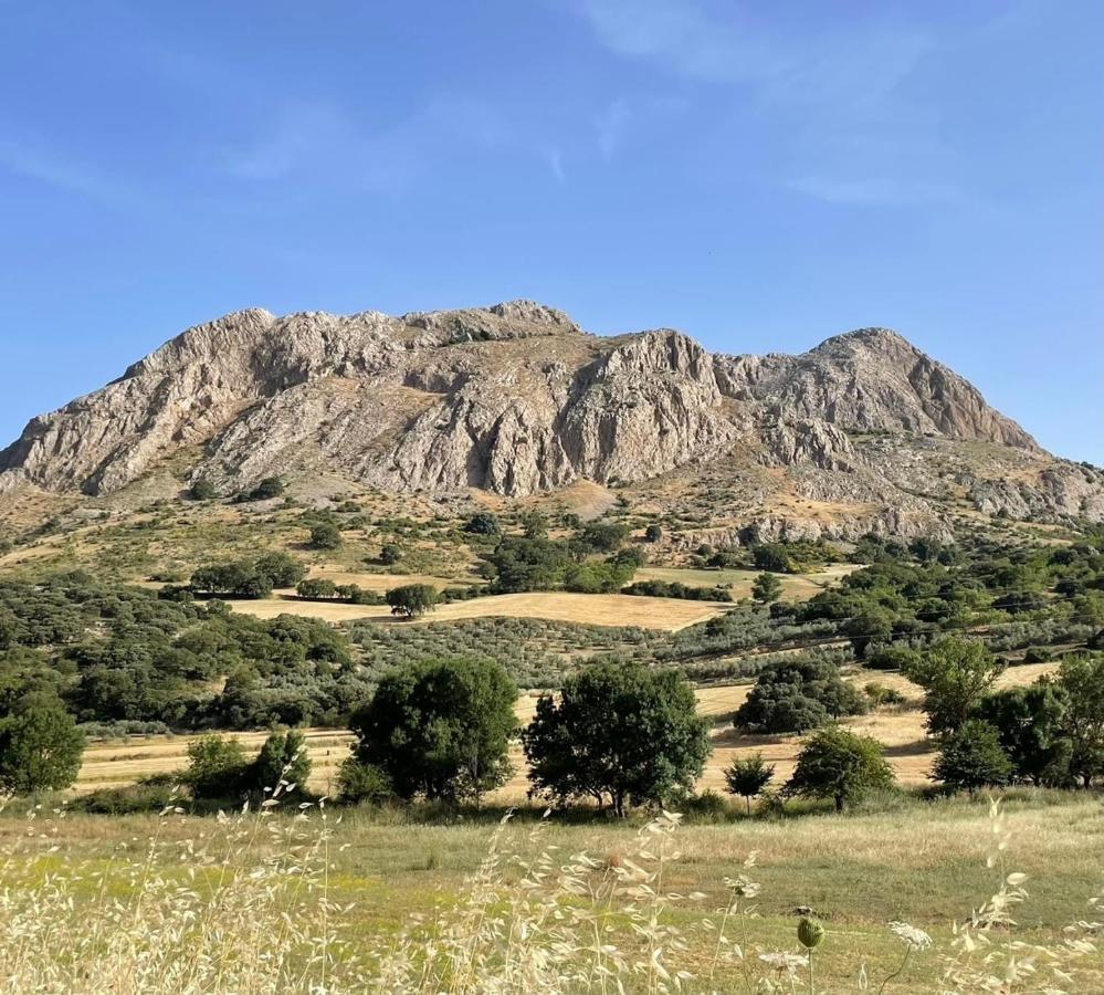 קולמנאר Cortijo Rancho Verde מראה חיצוני תמונה
