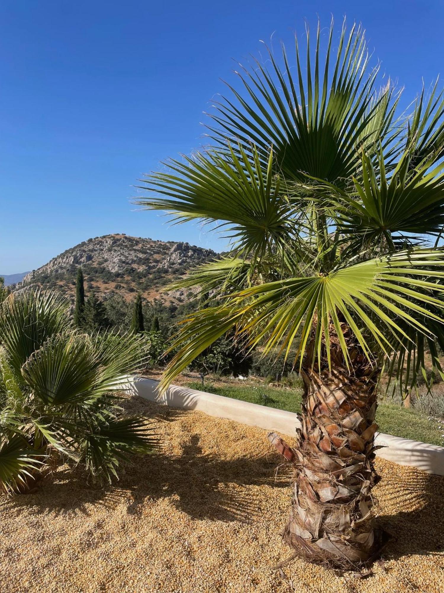קולמנאר Cortijo Rancho Verde מראה חיצוני תמונה